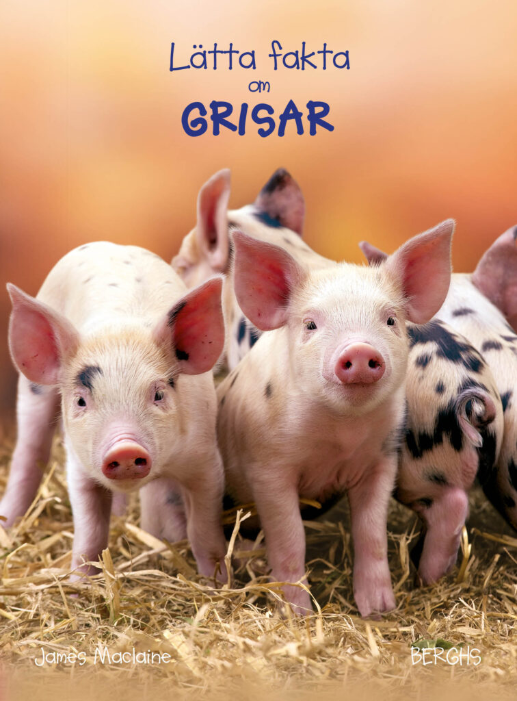 Lätta fakta om grisar