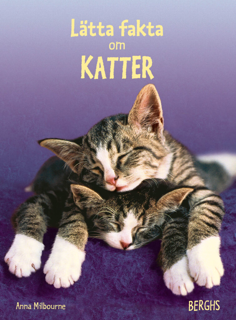 Lätta fakta om katter