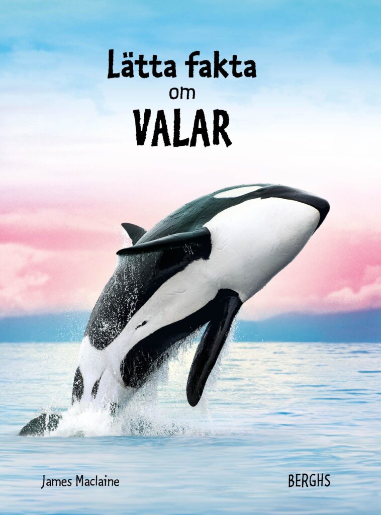 Lätta fakta om valar