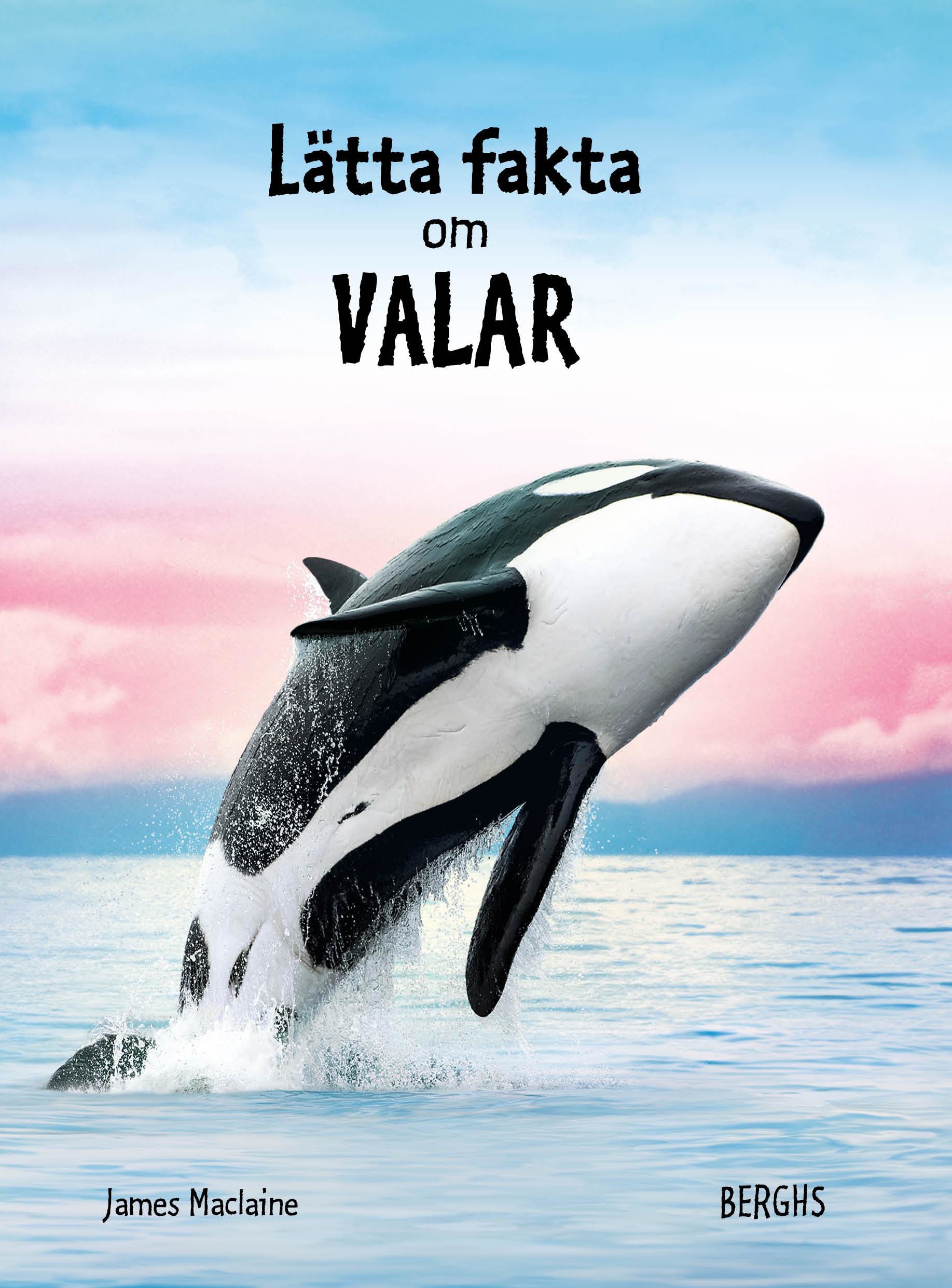 Lätta fakta om valar